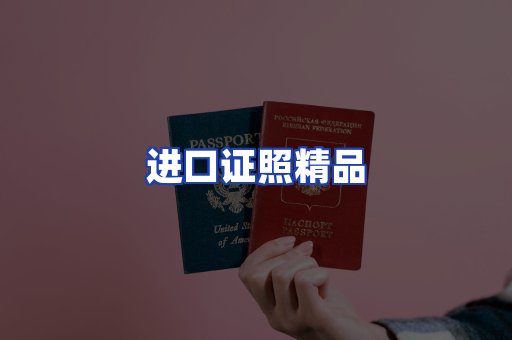 进口证件页面制证